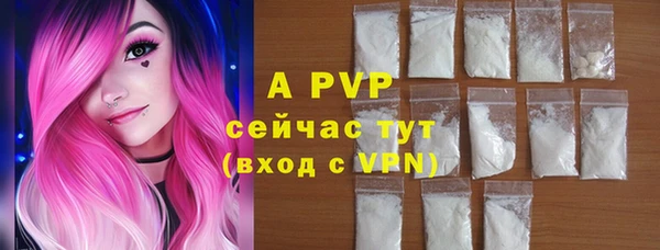 хмурый Белокуриха