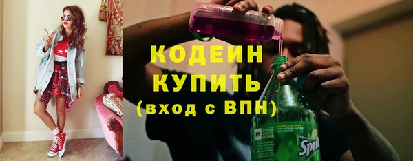 хмурый Богородицк