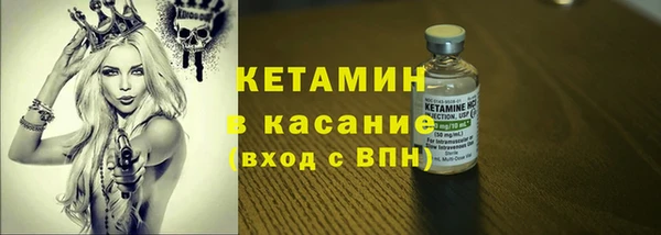 хмурый Белокуриха