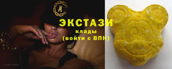 хмурый Белокуриха