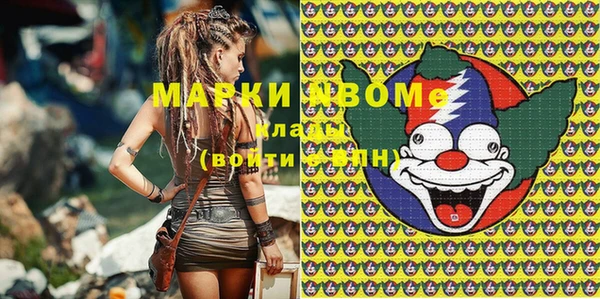 хмурый Белокуриха