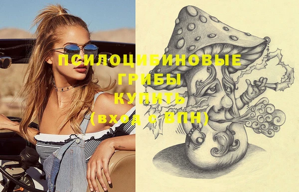хмурый Белокуриха