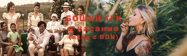 хмурый Белокуриха