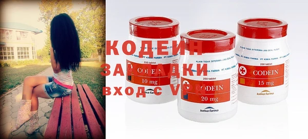 хмурый Белокуриха