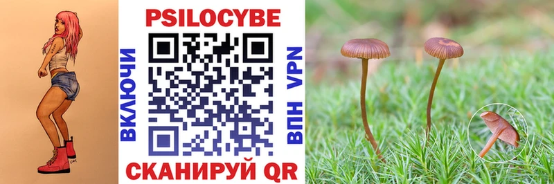 Галлюциногенные грибы MAGIC MUSHROOMS Кущёвская